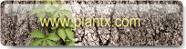 www.plantx.com
